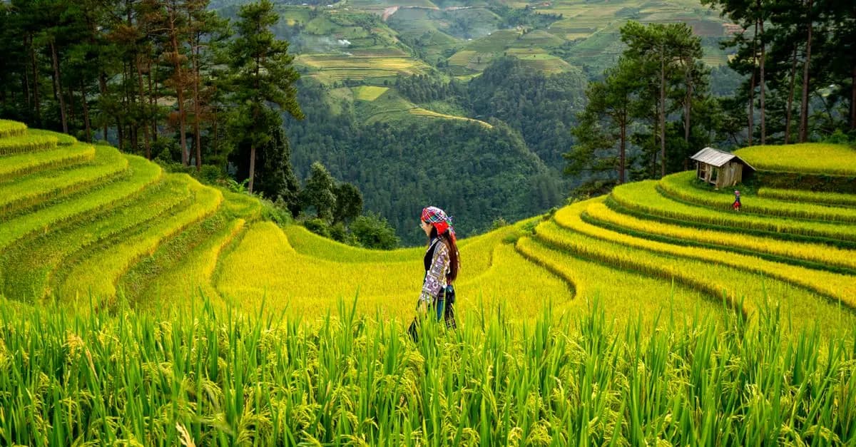 Cómo seleccionar el destino ideal para viajar con estilo