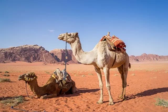 Las mejores ciudades para disfrutar de la arquitectura mientras viajas